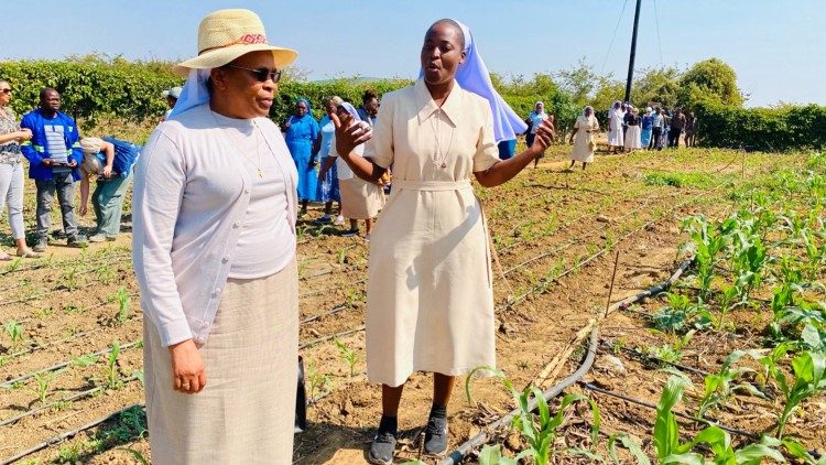 Các nữ tu làm nông nghiệp  sinh thái ở Zambia